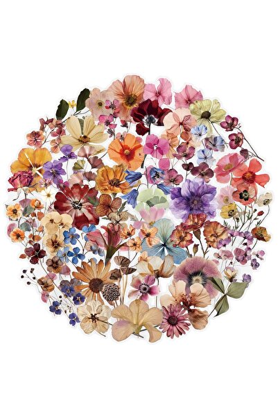 Choice 50pcs 50Pcs Mixed Transparent Retro Dry Flower Stickers Aesthetic for ...