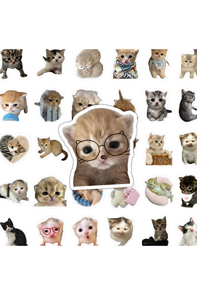 Choice 70pcs 70PCS Cute Cats Cartoon Graffiti Stickers Kawaii Kitten Decal DI...