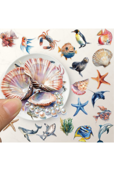 Choice 50PCS 50PCS Marine Biology Double Transparent Stickers Exquisite Marin...