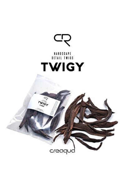 Creaqua Dark Mini Black Flame Doğal Ağaç Dekoru