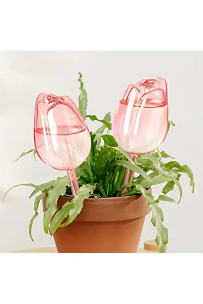 Choice 2pcs Pink Tulip Plant Watering Balls, Suitable for Indoor and Outdoor ...