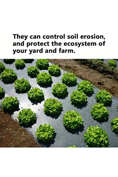 Choice 135cmX1000cm black Grow Your Vegetables with Our High-Quality Black Pl...