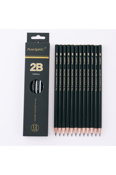 Choice PS-7125 2B 12 قطعة 12 قطعة 2B أقلام رصاص جرافيت احترافية للرسم قلم رصا...