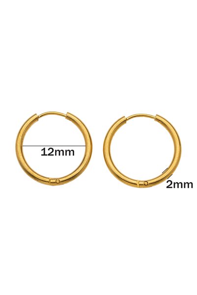 Choice11 Gold 12mm 10pcs Stainless Steel Huggie Hoop Earrings Small Hypoaller...