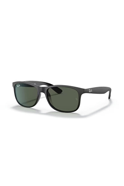Ray-Ban 0RB4202 606971 55 Unisex Güneş Gözlüğü