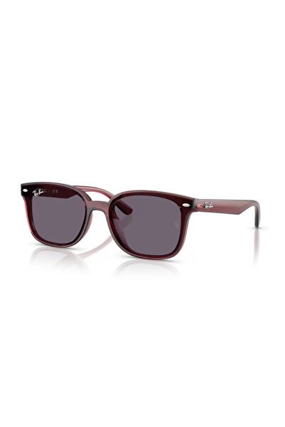 Ray-Ban Güneş Gözlüğü RB4461D 64 659373