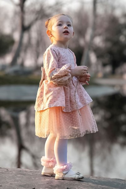 Baby Animals Baby Girl Dress Girls' Dress Birthday Party Wedding Dress Tulle Long Sleeve Lined Baby Clothing