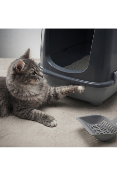ZEKTON Lüx Gri Kapalı Kedi Tuvaleti + Kürek ve Koku Filtresi Hediyeli, Üstten Açılır Pratik Kedi Kum Kabı