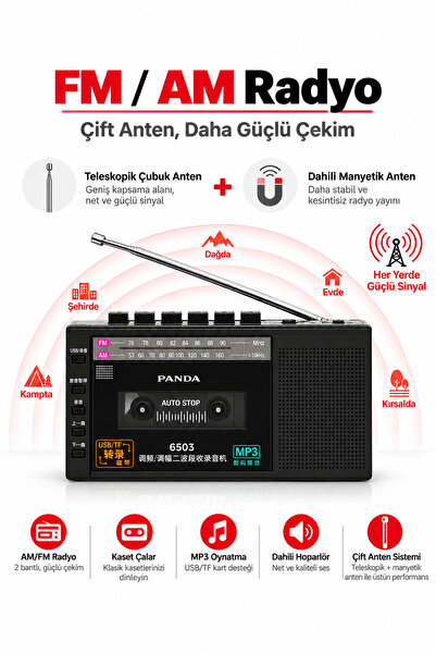 ULTRATEKNO Panda 6503 25W Kaset Çalar Radyo USB/TF  Kaydedici Bant Mikrofon Çok Fonksiyonlu Müzik Çalar