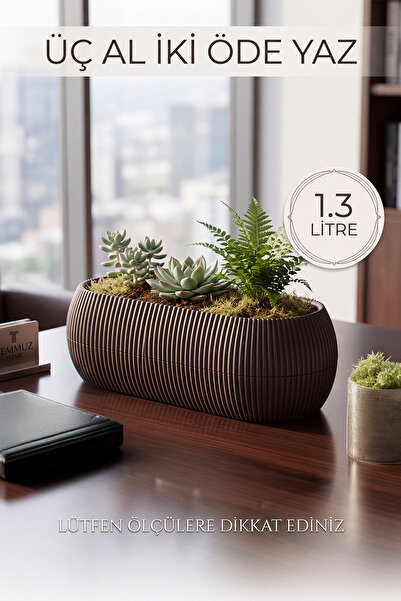 TEMMUZ HOME 1.3 Litre 2 No Uzun Mercan Kaktüs Sukulent Ve Çiçek Saksısı(İlan ...