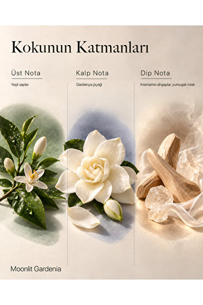 MOODÈRA Gardenia Kokulu Mum, %10 Koku Esansı, Soya ve Parafin Mum Karışımı Kutulu