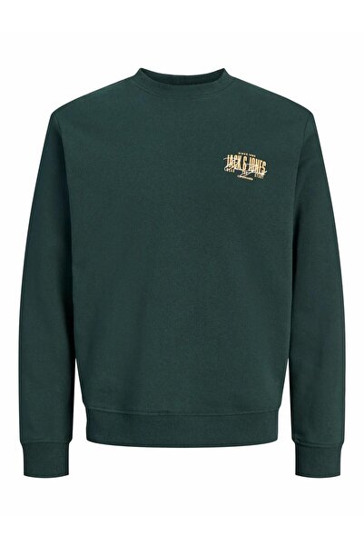 Jack & Jones Jack Jones Aero Regular Fit Bisiklet Yaka Erkek Sweat 12298492