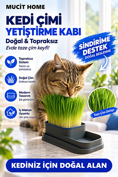 mucit home Topraksız Doğal Kedi Çim Yetiştirme Kabı
