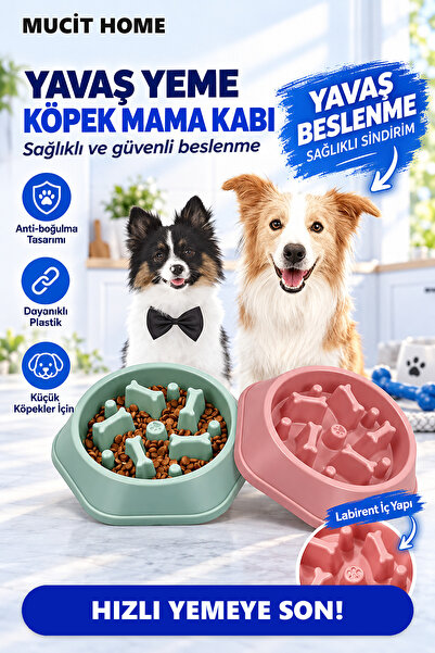 mucit home Köpek Mama Kabı Yavaş Besleyici Gıda Dağıtıcı Yavaş Yeme Köpek Mam...