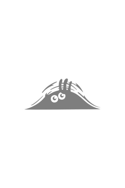 pınaxar Angry Face Auto Sticker, Crest, Auto Sticker, Angry Expression, 25*11...
