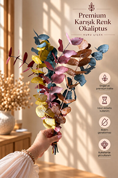 Decolass Kuru Çiçek Şoklanmış Okaliptus Demeti Karışık Renk (50 cm)