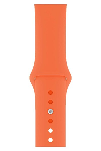 habilis Apple Watch 42/44/45/46/49mm Series 11/10/9/8/7/SE3-2/Ultra3-2 Uyumlu...