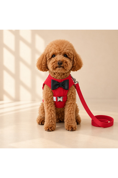 DoReDo-g Köpek Göğüs Tasması Kırmızı Papyonlu Kıyafet Görünümlü Gezdirme Kayışlı