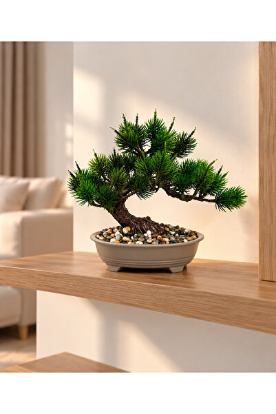 Lineva Dekoratif Tabakta Bonsai Ağacı – Ev & Ofis Masa / Raf Dekoru