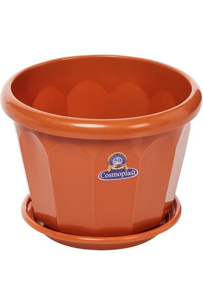 Cosmoplast Plastic Hexagonal Flowerpot 25 With Tray