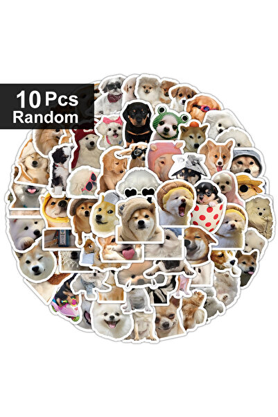 Choice 10pcs random 10/100/1000Pcs Funny Dog Stickers Cartoon Cute Decals Toy...