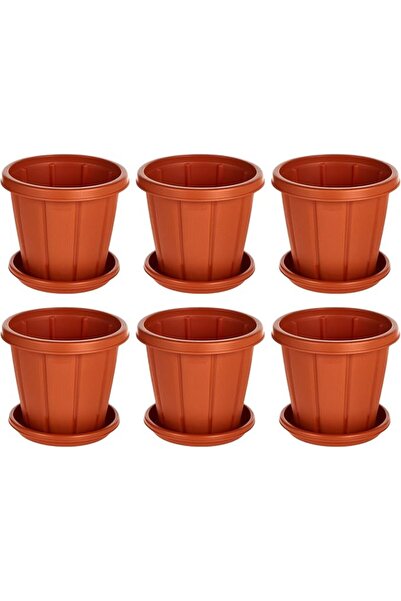 Cosmoplast Cedargrain 10" Flowerpot with Tray Set of 6