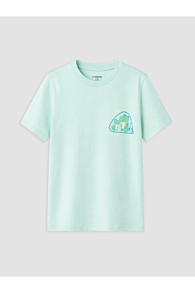 LC Waikiki Two Mt Shop Quality Green Standard & Regular Boys' T-Shirt