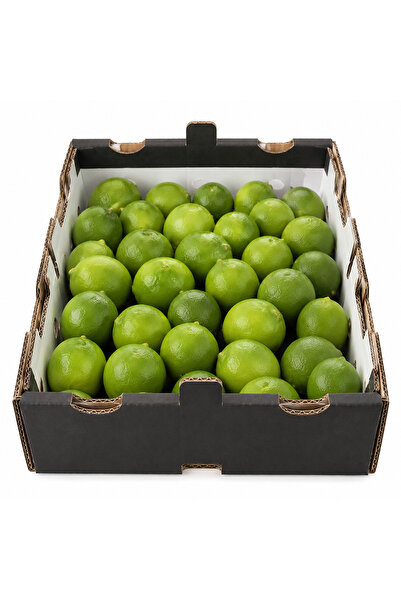 Lime Misket Limonu Çekirdeksiz 4.5 kg kutu - HER SALI KARGOYA VERILIR