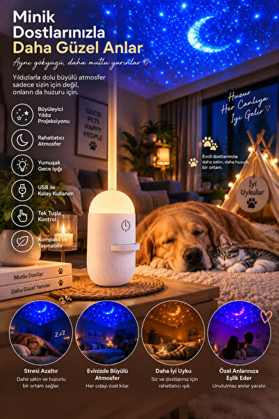 Lisinya Gl001 Night Lamp -
