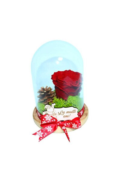 OEM Trandafir Criogenat Rosu in Cupola, Licheni, La multi Ani, Mos Craciun, 1...