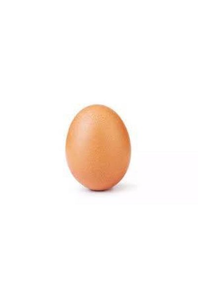 OEMS بيض دجاج صناعي فارغ