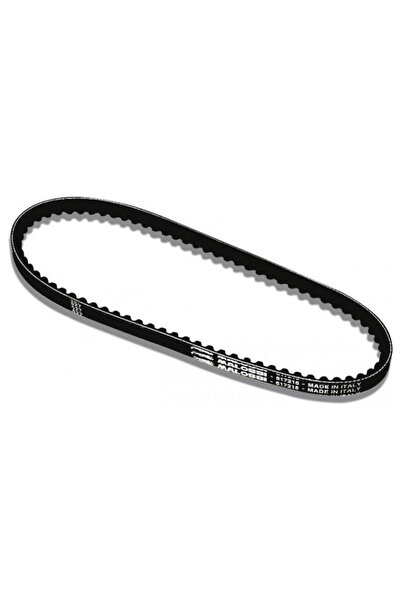 Malossi Derbi 50cc 2T Special X Belt