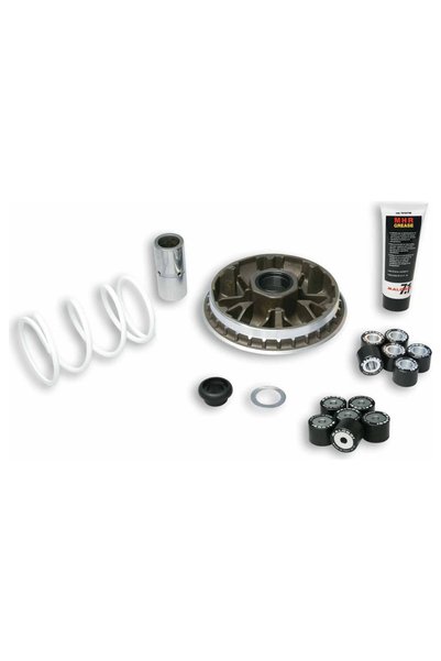 Malossi Variator Honda Sh Scoopy 300ie 4T Multivar MHR