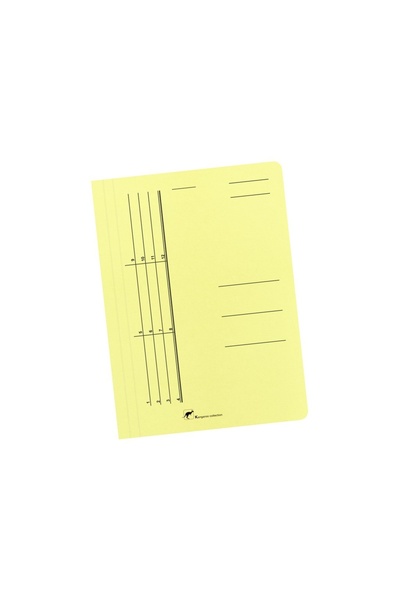 OEM Colored cardboard file with yellow Austral rail