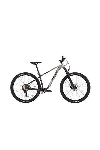 Bisan HARDTRAIL ERKEK DAĞ BİSİKLETİ 43 CM HD 29 JANT 8 VİTES SİYAH GRİ SİYAH GRİ