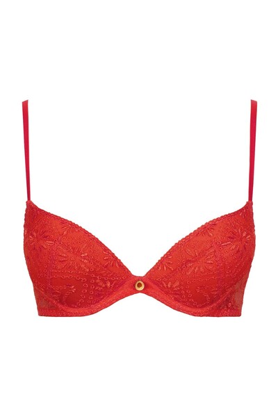 Aubade Losing My Mind Push-Up Bra with Deep Cleavage and French Embroidery De...