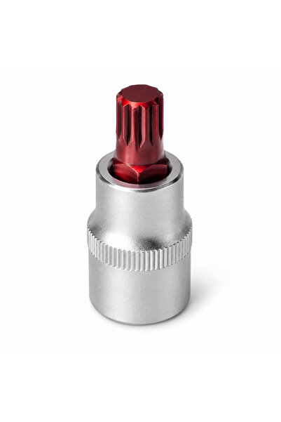 ARMProfessional Arm Professional 1/2 Socket Spline Bits Short M16 - 1 Piece