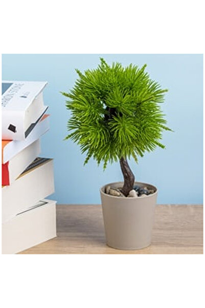 OEM Ghiveci Decorativ Taupe cu Planta Artificiala Bonsai Ø6x19cm