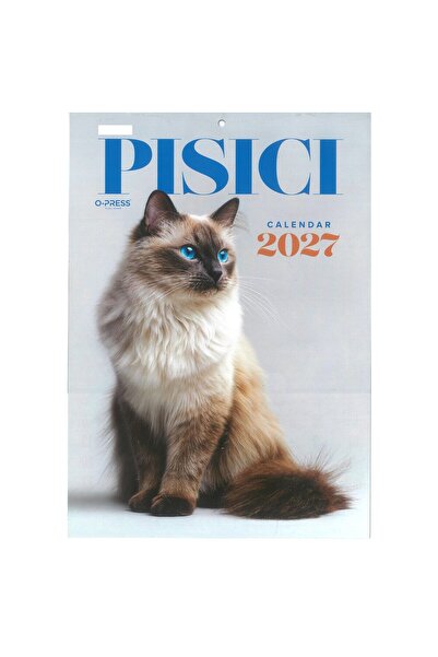 O-PRESS Calendar de perete cu pisici 2027, format A4, 6 file ,