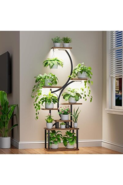 GENERAL Plant Stand Indoor With Grow Lights,157cm Tall Plant Shelf, Lighted C...