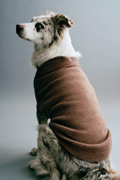 H&M İnce Triko Köpek Kazağı