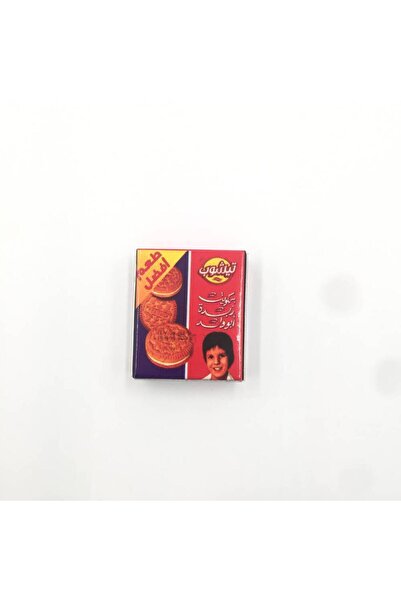 OEMS مغناطيس ثلاجة