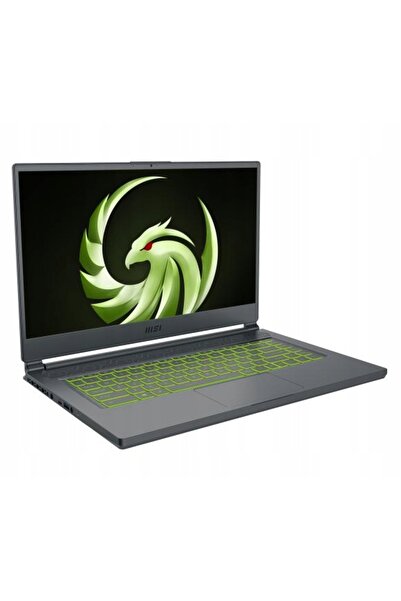MSI delta 15 15.6" AMD Ryzen 9 16 GB/1000 GB