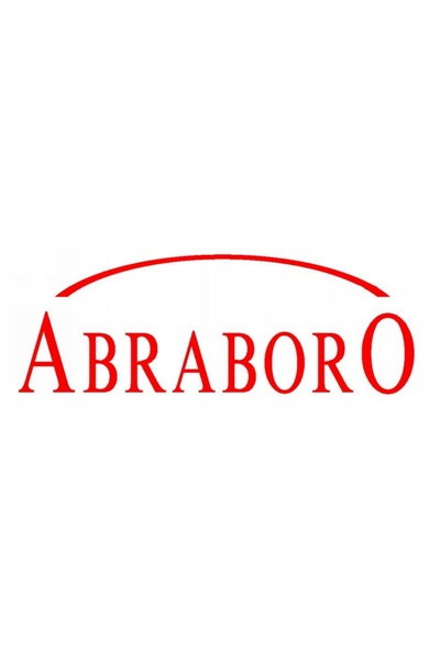 Abraboro Daltă SDS-MAX 45/45/240 mm