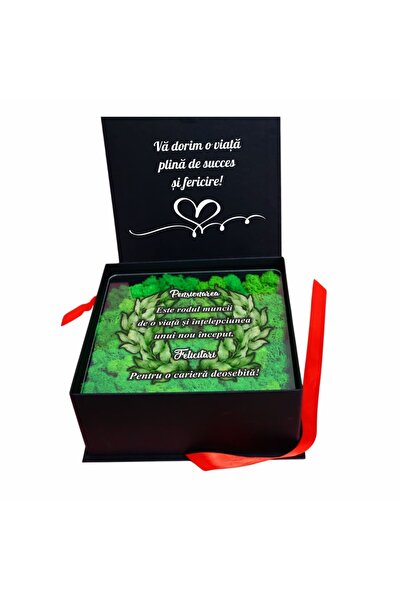 OEM Cutie cadou pentru pensionare, Licheni, Verde, 23×23 cm, CLPUV001