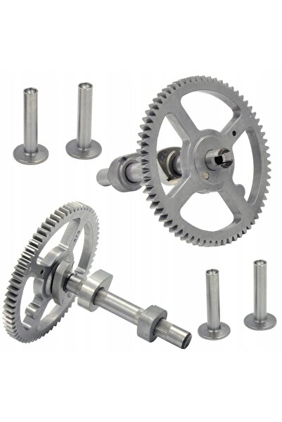 Briggs&Stratton PENTRU BRIGGS 10.5-19 ARBORE CU CAME 793583 790400 793880 INE...
