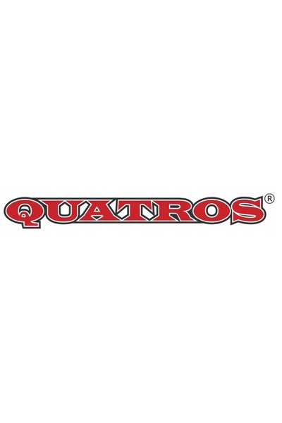 Quatros Autovehicule înstătuite de guvern: FIAT 500, PUNTO, PANDA 1.2, 1.4, 8V