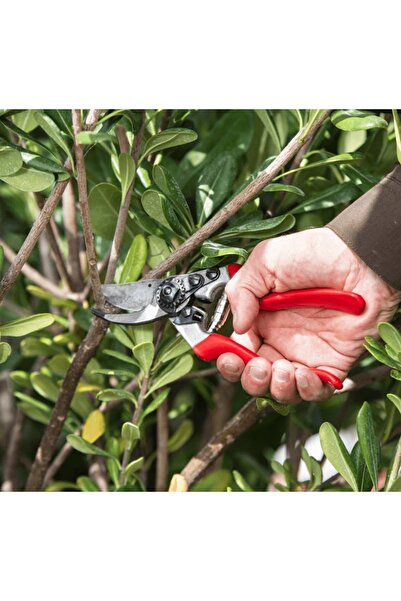 Felco SET DE GRĂDINĂ PROMOȚIONAL SEKATOR 8 ȘI FORFETE 321 P173