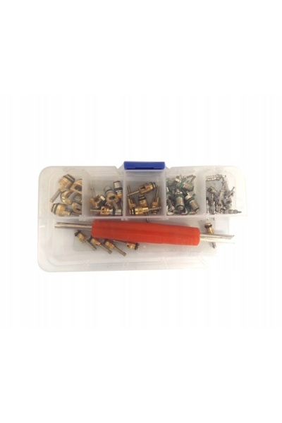 MAGMA Set de supape AC auto cu cheie, 41 de piese, R134A, Peugeot Volvo