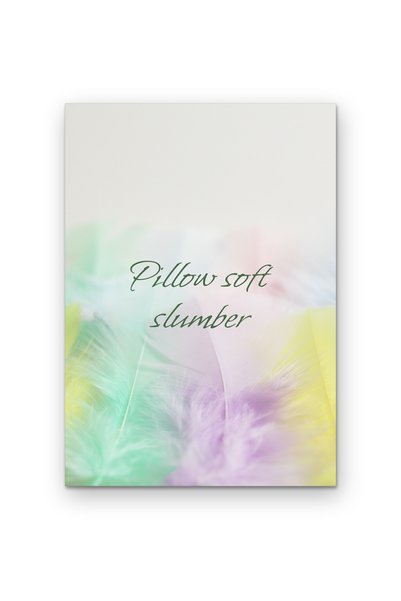 OEM Poster Carton 250g A4, Citat Somn Pufos de Perna, Arta de Perete, Decor I...